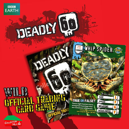 CBBC Deadly 60 WILD Trading Cards  Choose Your Cards
