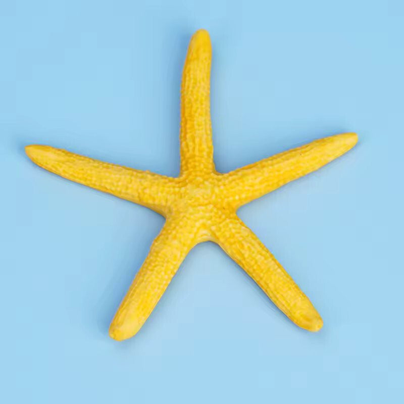 Mini Aquarium Medium Decorations Natural Coral Plants