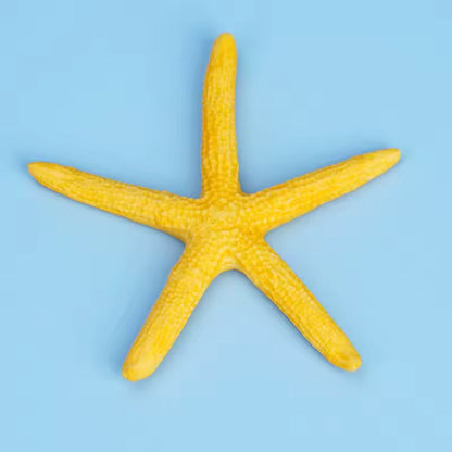 Mini Aquarium Medium Decorations Natural Coral Plants