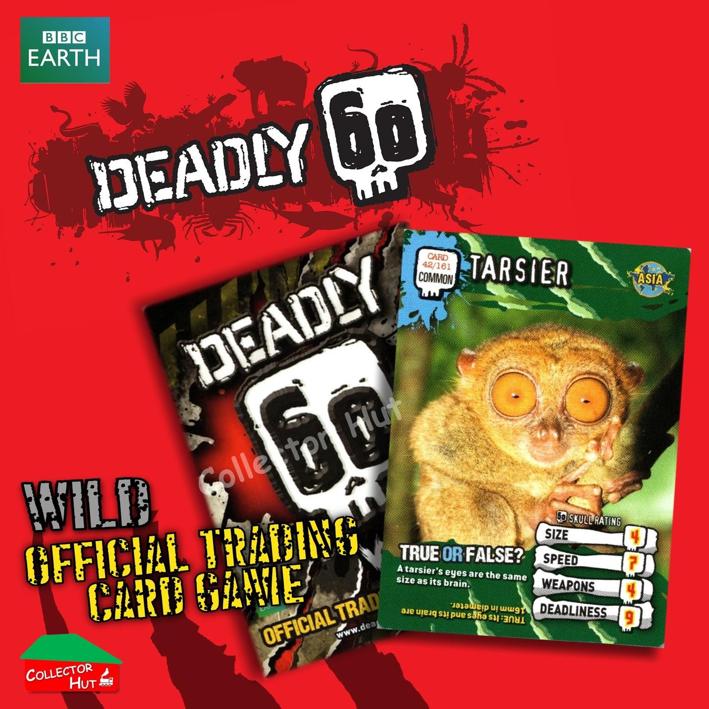 CBBC Deadly 60 WILD Trading Cards  Choose Your Cards