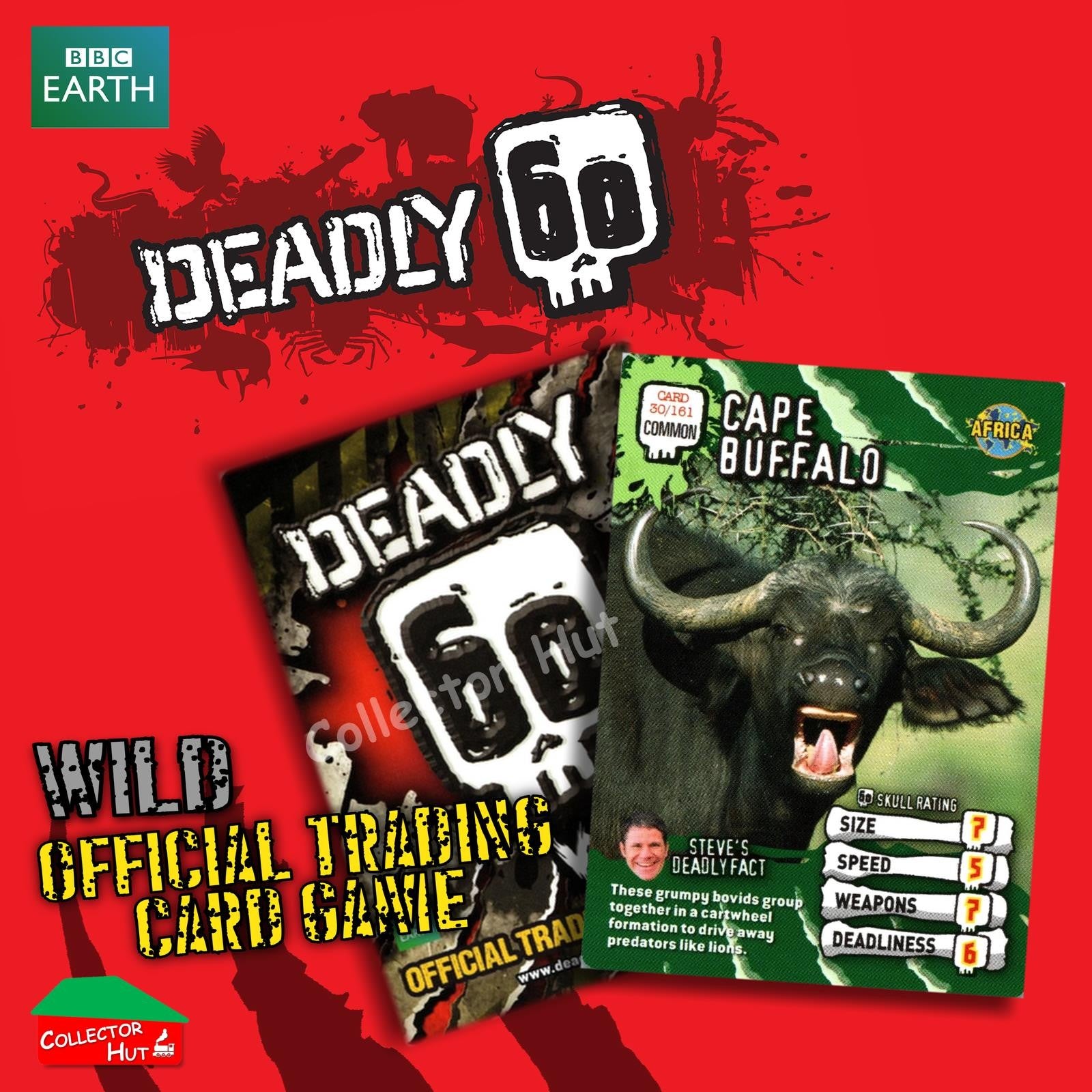 CBBC Deadly 60 WILD Trading Cards  Choose Your Cards
