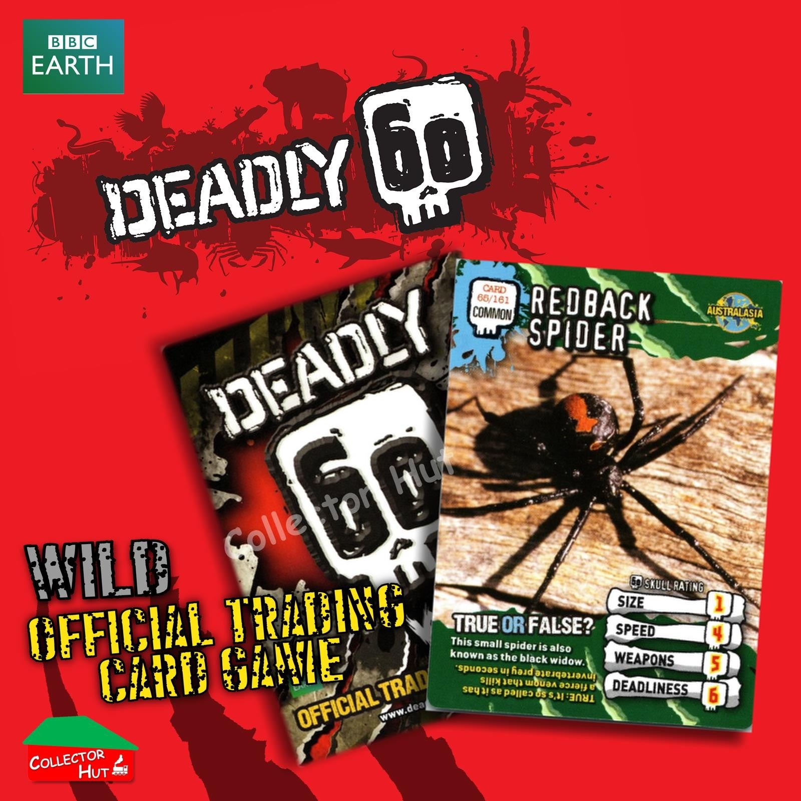 CBBC Deadly 60 WILD Trading Cards  Choose Your Cards