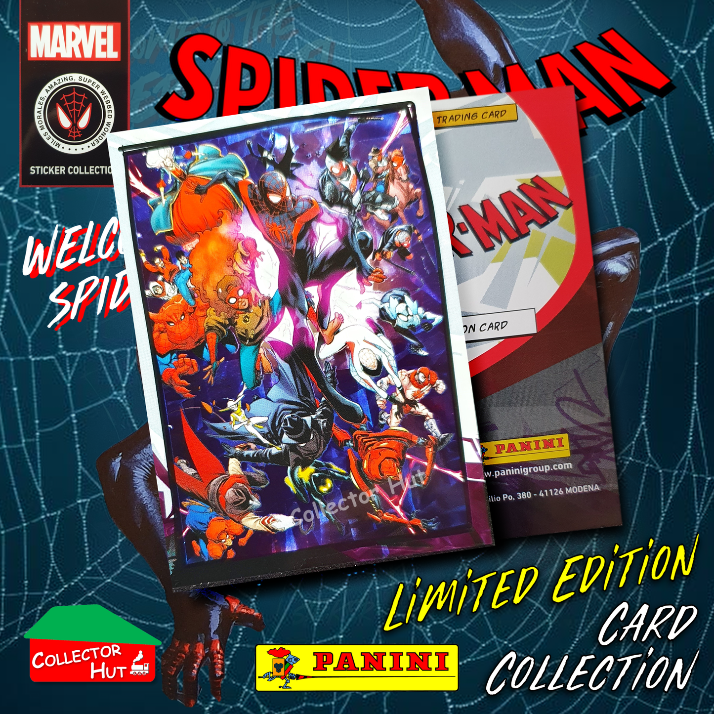 Panini Spider-Man Spider-Verse 2023 Collection Limited Edition Cards