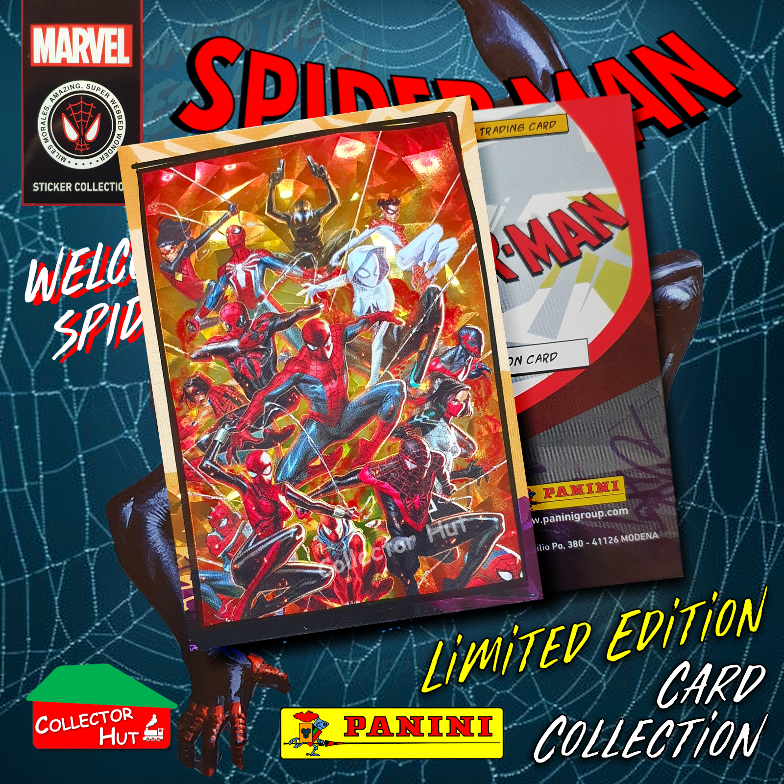 Panini Spider-Man Spider-Verse 2023 Collection Limited Edition Cards
