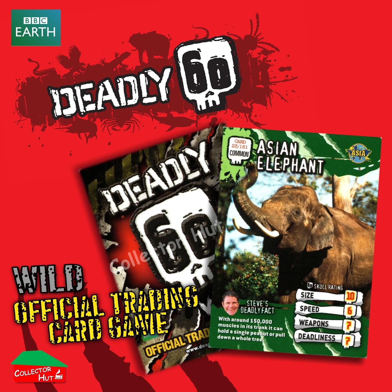 CBBC Deadly 60 WILD Trading Cards  Choose Your Cards