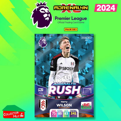 Panini Adrenalyn XL Premier League 2024 2023/24 Base & Foils #244 - #468