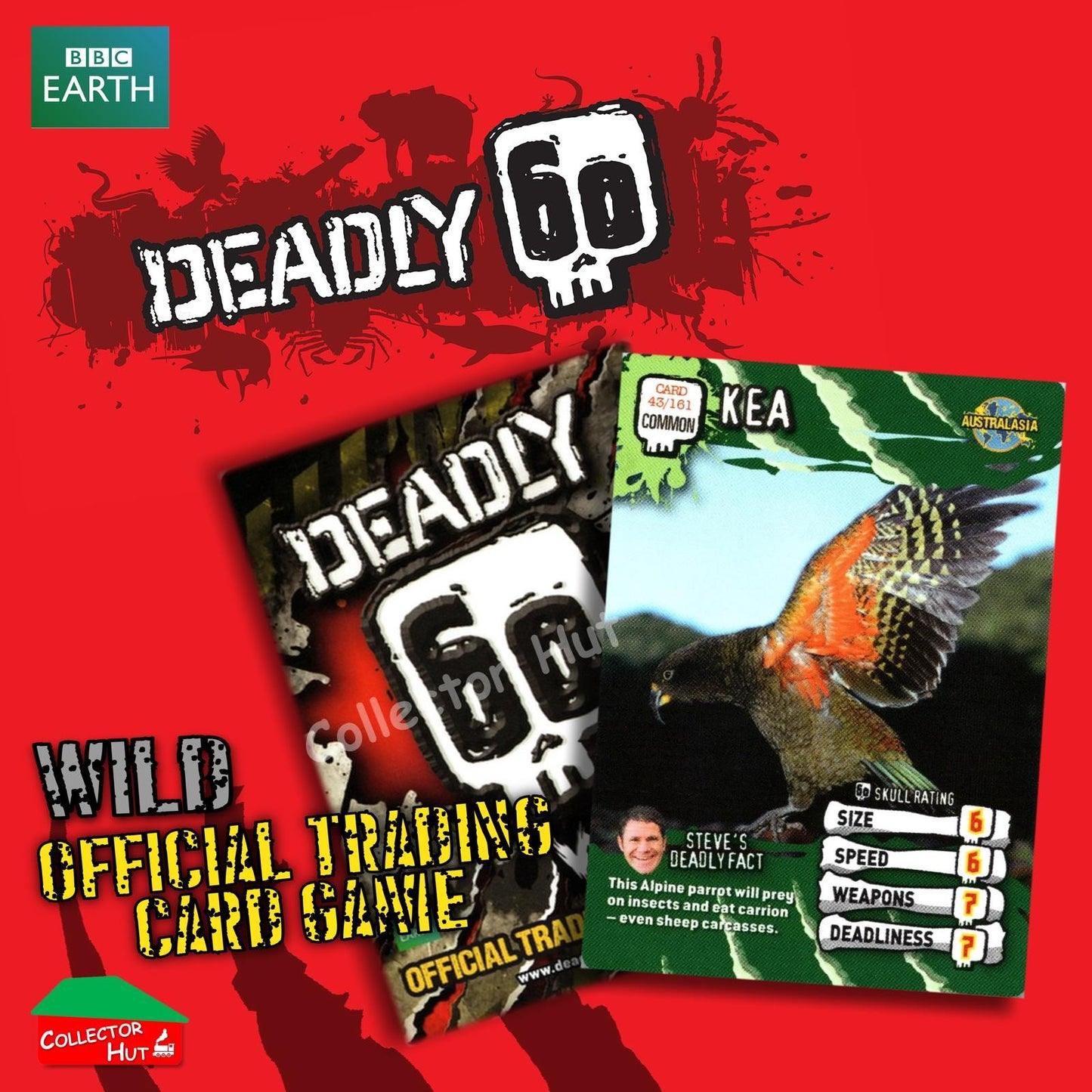 CBBC Deadly 60 WILD Trading Cards  Choose Your Cards