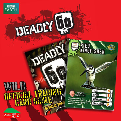 CBBC Deadly 60 WILD Trading Cards  Choose Your Cards