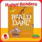 McDonalds Happy Meal Happy Readers Books