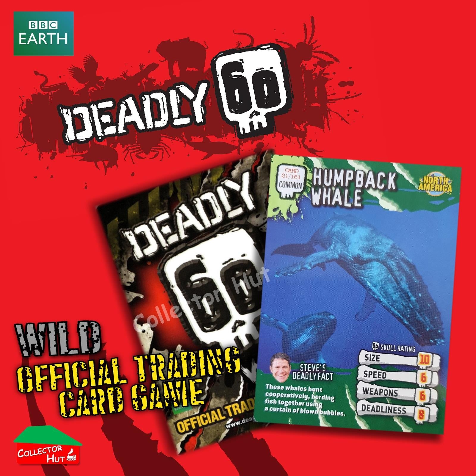 CBBC Deadly 60 WILD Trading Cards  Choose Your Cards