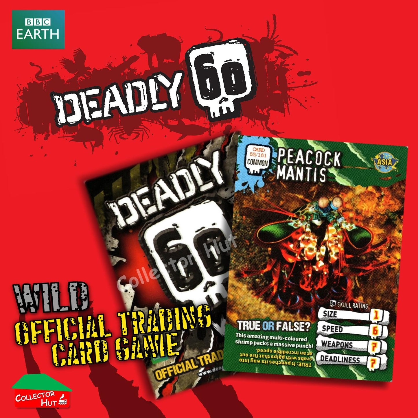 CBBC Deadly 60 WILD Trading Cards  Choose Your Cards