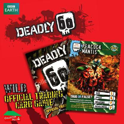 CBBC Deadly 60 WILD Trading Cards  Choose Your Cards