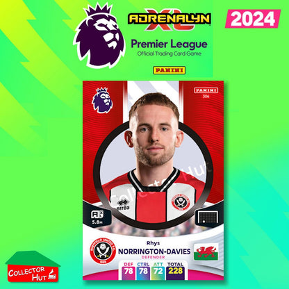 Panini Adrenalyn XL Premier League 2024 2023/24 Base & Foils #244 - #468